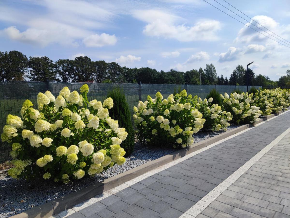 Miodowa Sadyba Domki Caloroczne Kluczbork Ligota Zamecka ภายนอก รูปภาพ